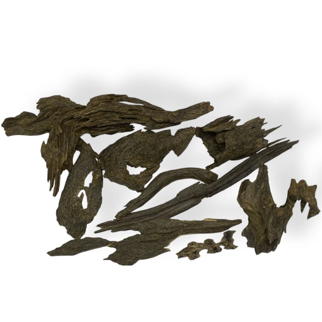 agarwood | oud