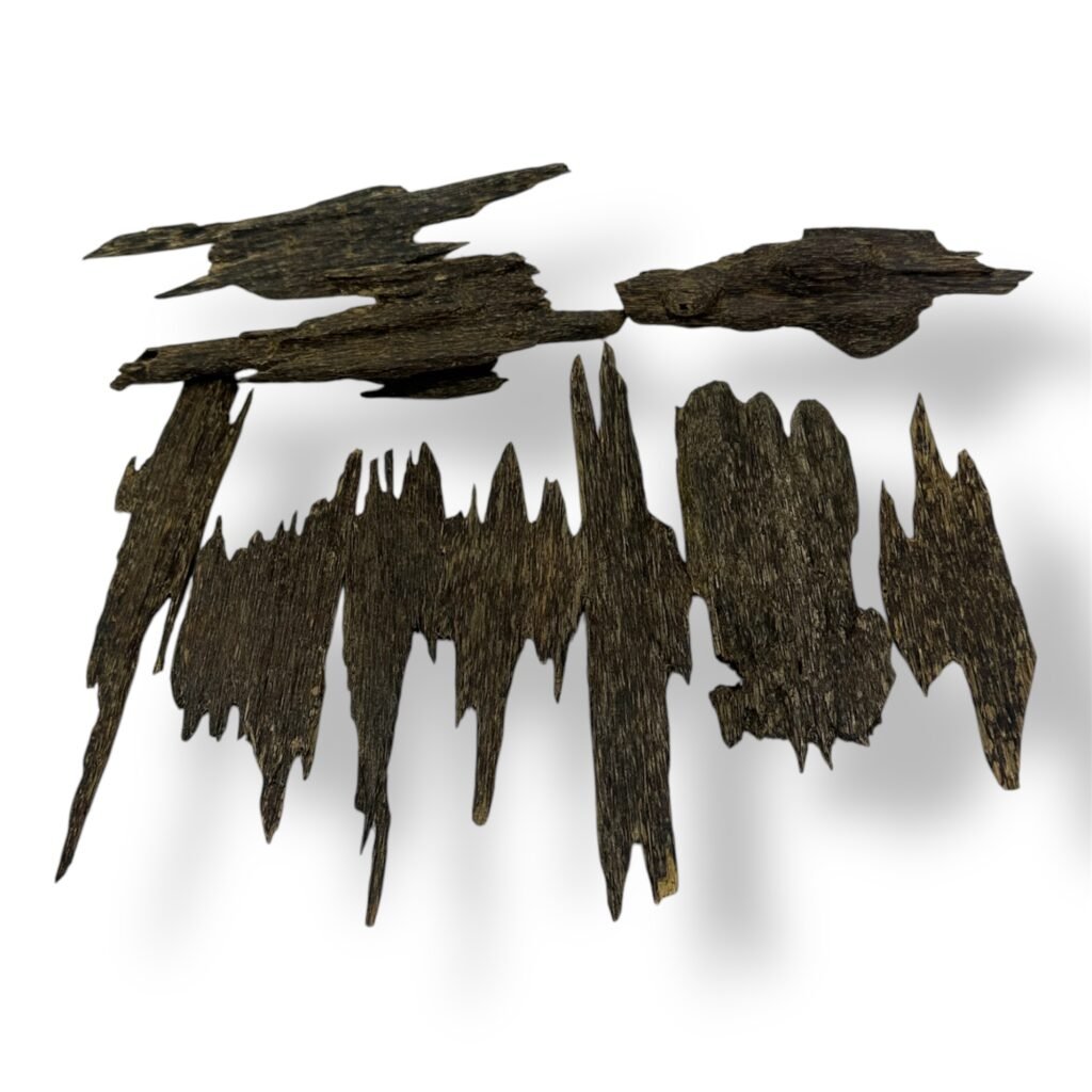 Malaysian Zura Top (A1)