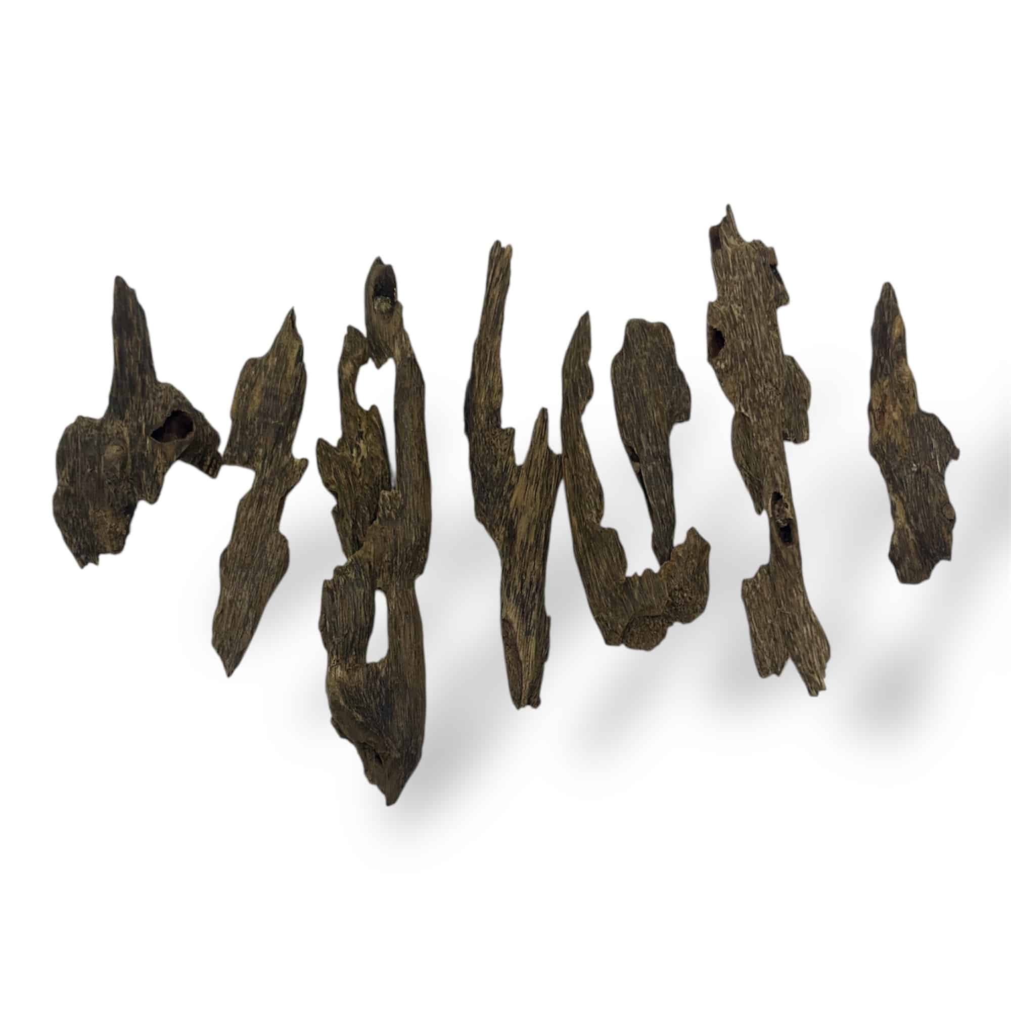 الماليزية Chusni