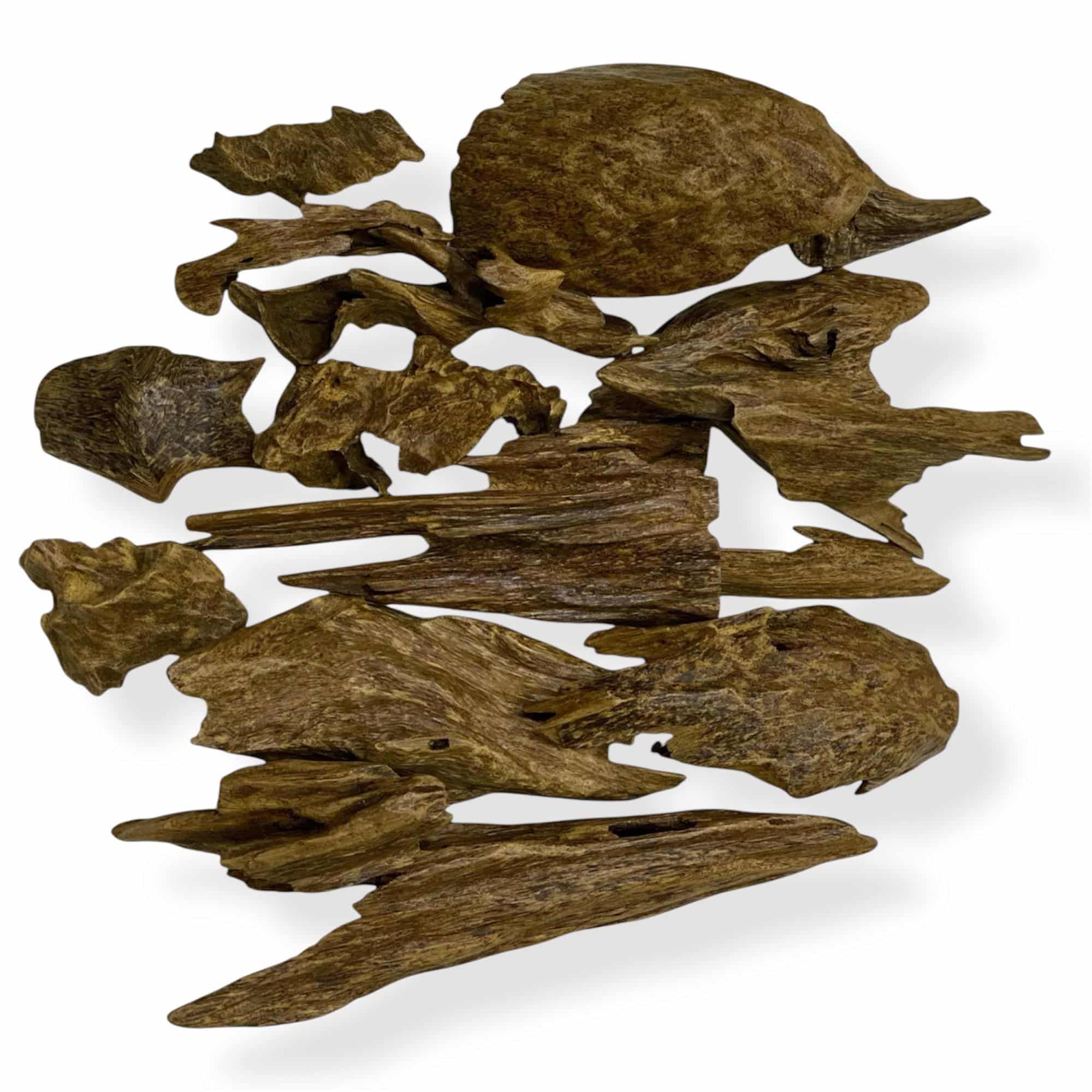 الماليزية Zura (AWO)